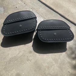 Motorcycle saddlebags Vikings