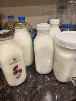 Fresh Homemade Milk Kefir – Live Probiotic Cultured Drink
