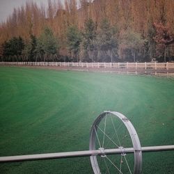 Fresh SOD