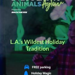 LA ZOO LIGHTS
