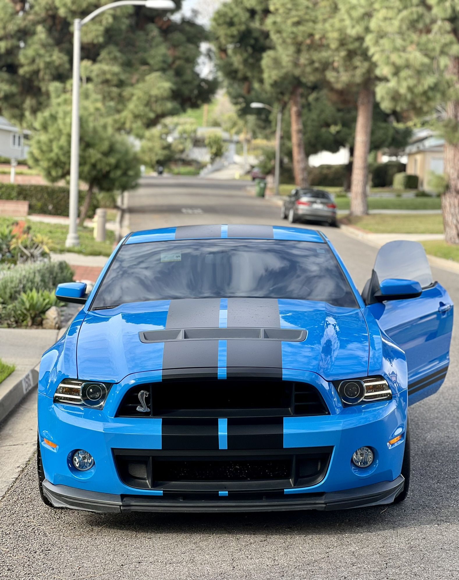 2013 Ford Shelby Gt500