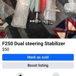 Ford F250 Dual Steering Stabilizer 