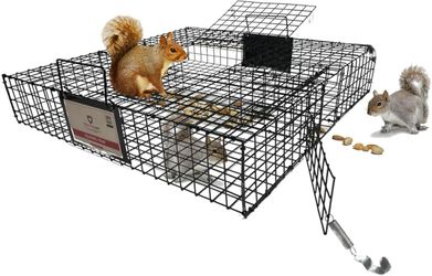 Predator Guard Squirrel Guard Trap - Humane Multi-Catch Trap, Attracts #1532SUP1