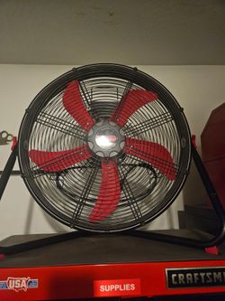 Fan