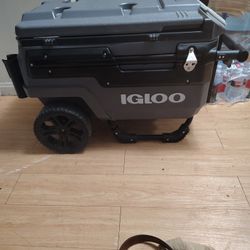 Igloo Cooler 