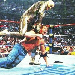 WWF WRESTLEMANIA XII Goldust vs. Rowdy Rowdy Piper Photocard 