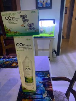 Brand new Ista co2 regulator and new co2 cylinder For aquarium  Fish tank Aquascape