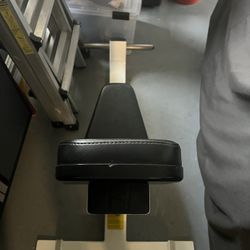 Hoist Upright Exercise bench