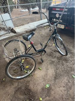 Three wheeler bike