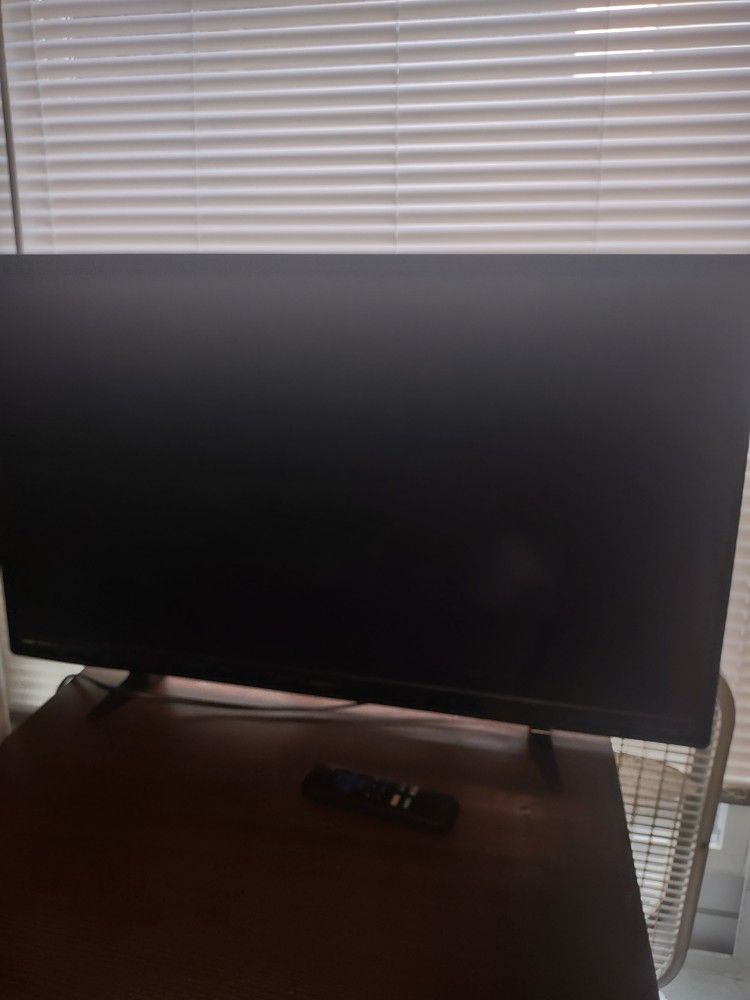 24in Roku Tv