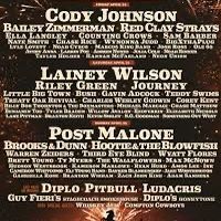 Stagecoach Wristband