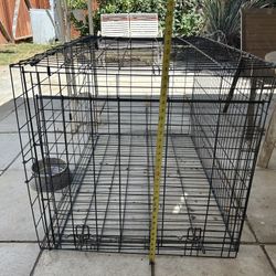 Big Dog Cage 