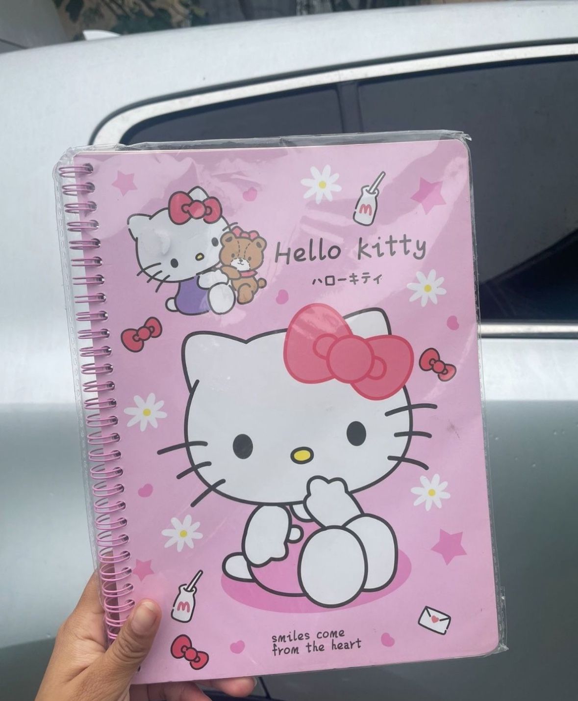 Large Hello Kitty Notebook
