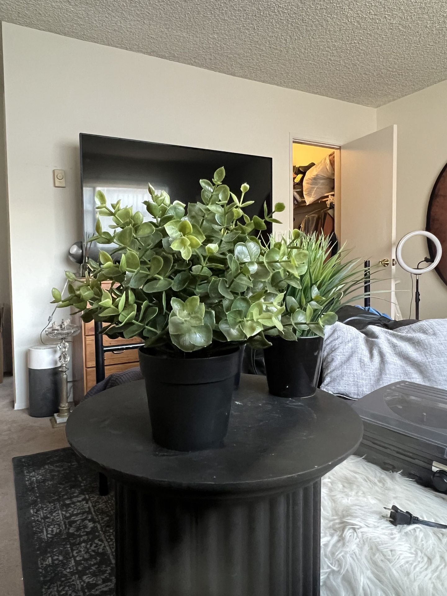 Fake Plants!