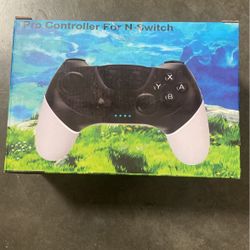 Pro Controller For A N-switch