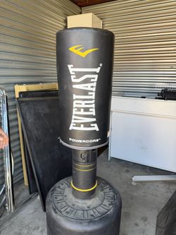 ever last punching bag