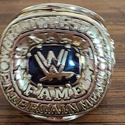 WWE Championship Ring 