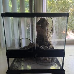 13x13 Terrarium
