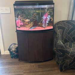 Entire Set Up. Everything You See. 