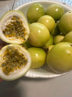 Delicious Yellow passion fruit