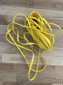 40 foot dog lead