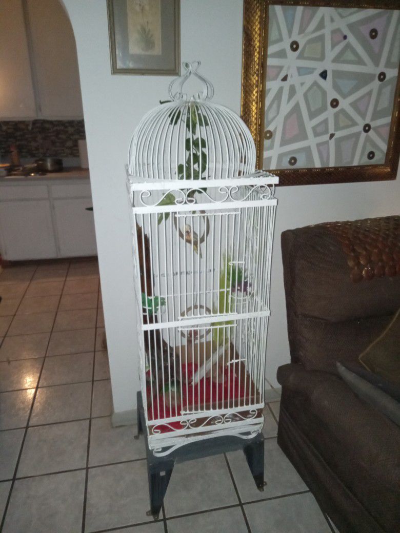 Giant Bird Cage