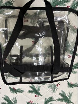 Transparent Bag (great for concerts)