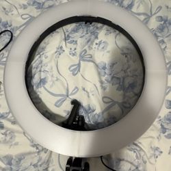 Portable Standing Vanity Light