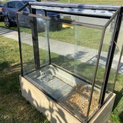 Butterfly Enclosure