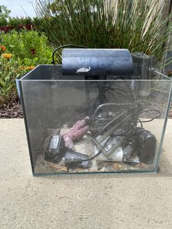 5 Gallon salt Water Set Up