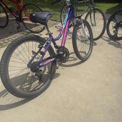 Women Bicycle 