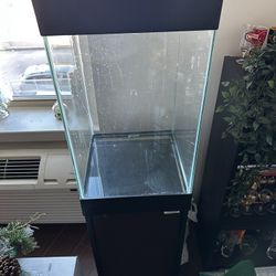 Fish Tank
