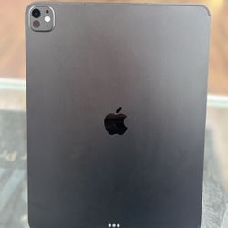 iPad 13inch M5 WiFi+ Cellular 256GB 