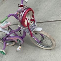 Jasmine Schwinn Bike