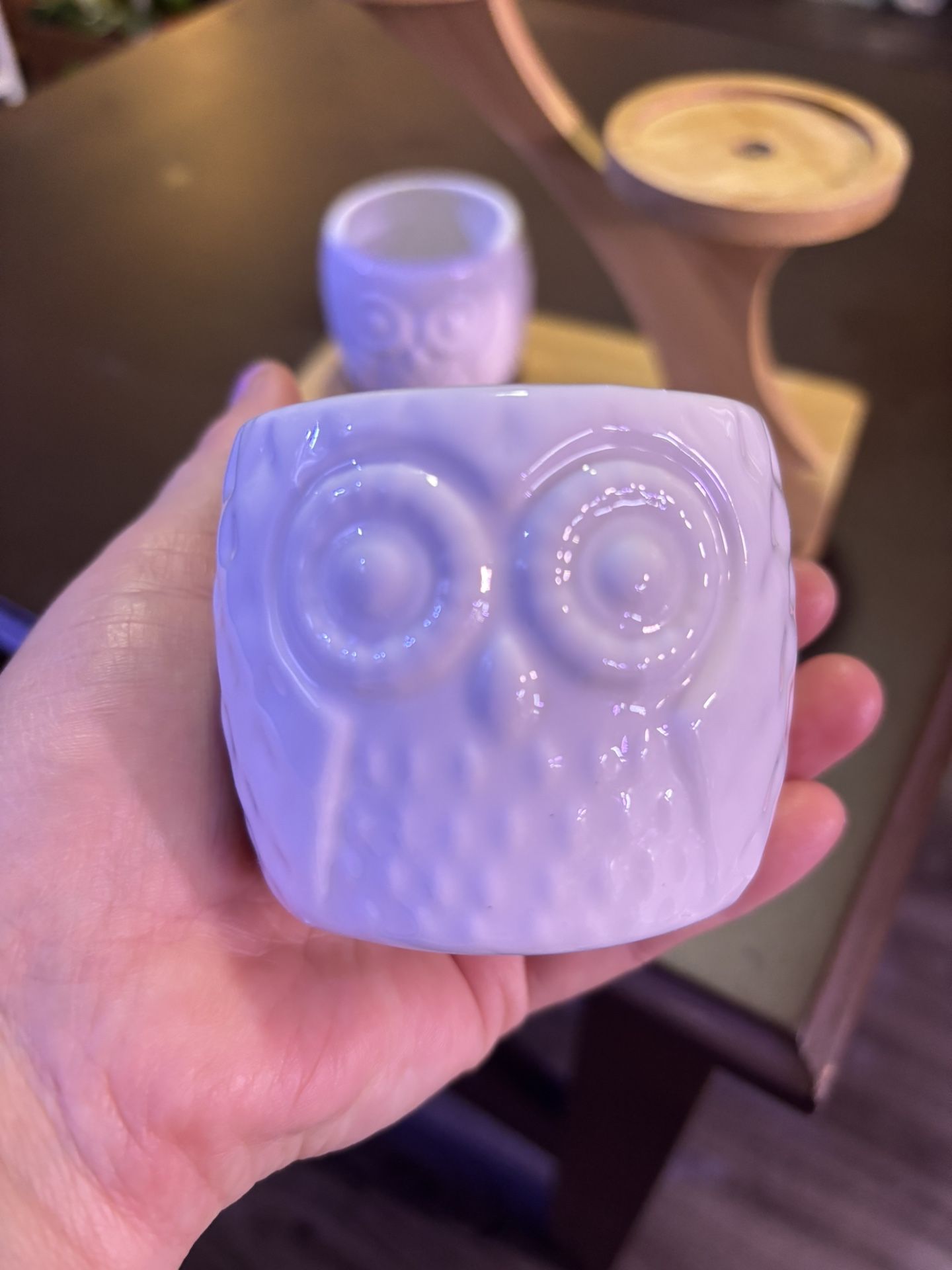 Desktop mini plant stand holder 3 small ceramic pot