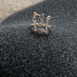 Anillo De Plata