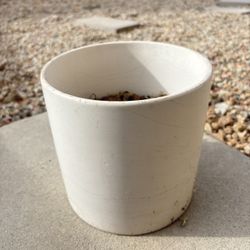 2 Plant Pots 