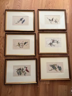 John James Audubon bird framed original lithographs