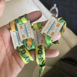 Wonderfront Festival Sunday Passes For Sale 