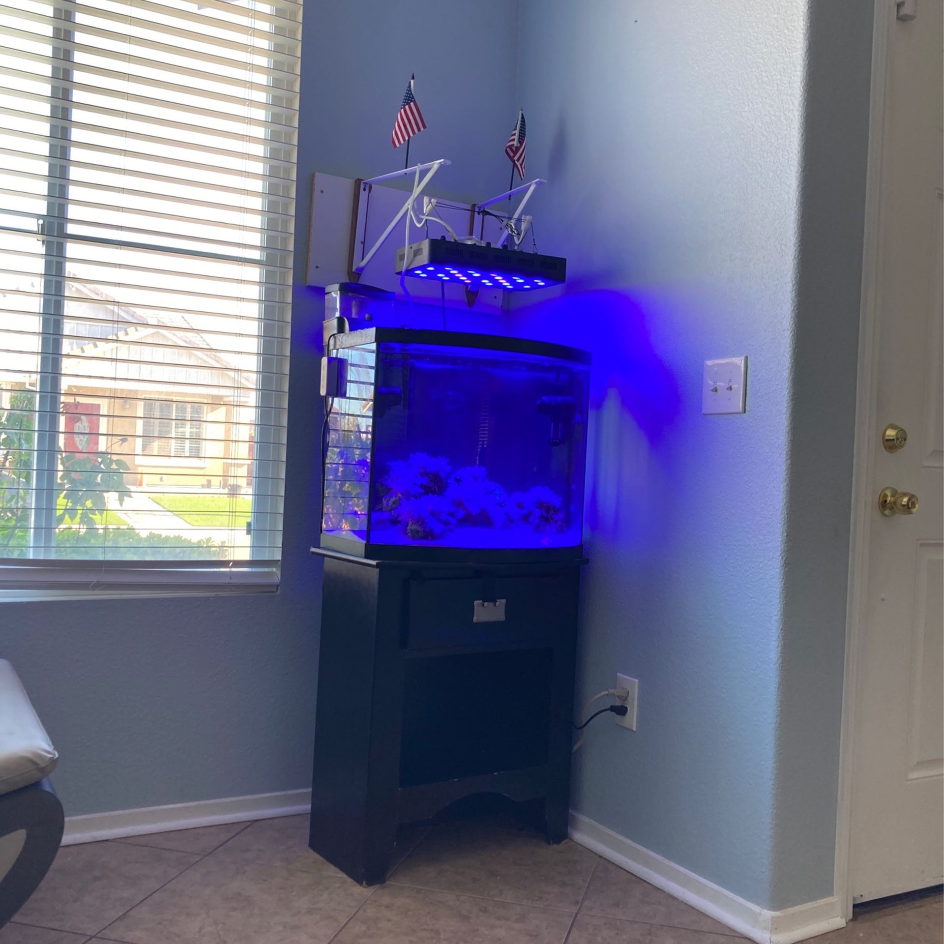 Reef Tank/Saltwater Fish Tank