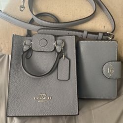 Coach mini Purse and wallet