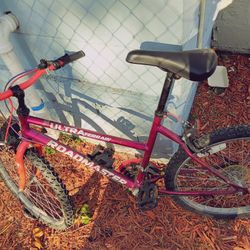 Mountain Bike