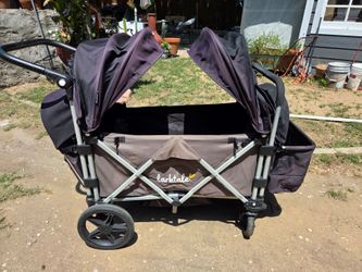 Larktale 2 seater caravan wagon