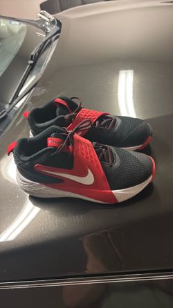 Nike Team Hustle D 12 basketball shoes