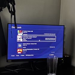 THINKVISION P24H-10 ($400 BEFORE TAXES AND SHIPPING)