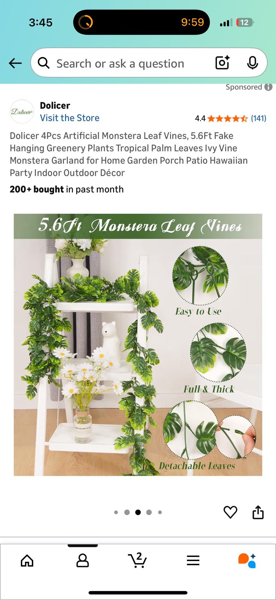 Decorative Plant/Vines