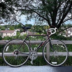 Fuji Absolute 53cm stainless steel Japan