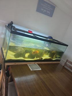 150 gallon fish tank