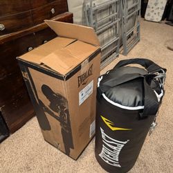 Everlast New Punching Bag 