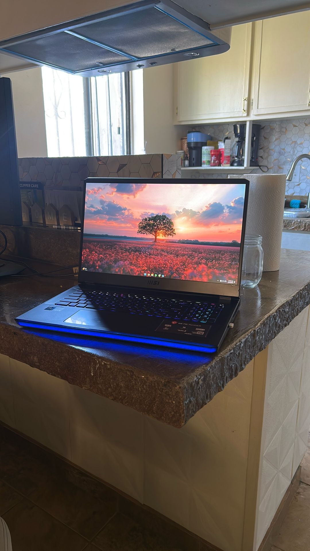 MSI GE76 Raider Gaming Laptop 2021